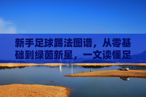 新手足球踢法图谱，从零基础到绿茵新星，一文读懂足球入门全流程