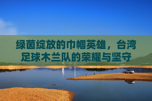 绿茵绽放的巾帼英雄，台湾足球木兰队的荣耀与坚守