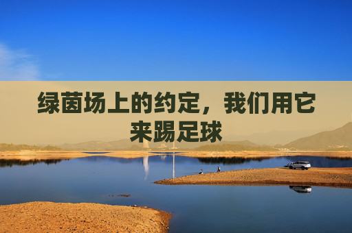 绿茵场上的约定，我们用它来踢足球