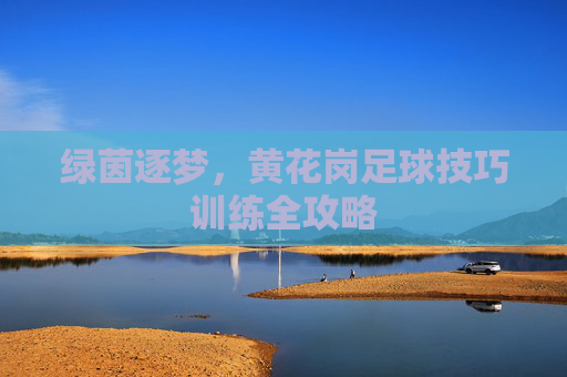 绿茵逐梦，黄花岗足球技巧训练全攻略