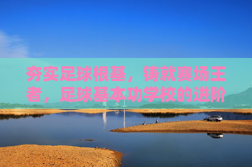 夯实足球根基，铸就赛场王者，足球基本功学校的进阶之路