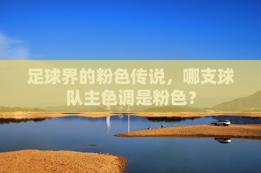 足球界的粉色传说，哪支球队主色调是粉色？