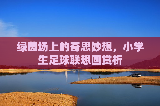 绿茵场上的奇思妙想，小学生足球联想画赏析