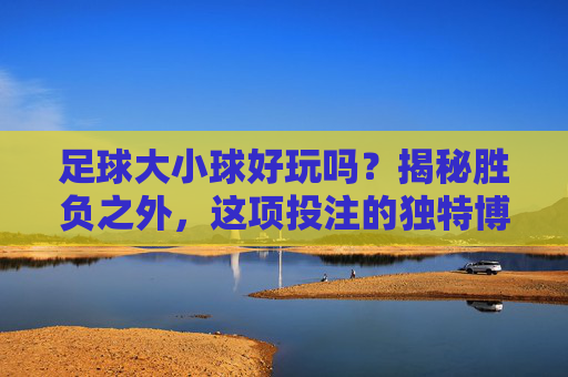 足球大小球好玩吗？揭秘胜负之外，这项投注的独特博弈乐趣