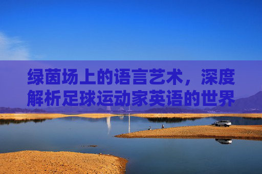 绿茵场上的语言艺术，深度解析足球运动家英语的世界
