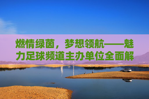 燃情绿茵，梦想领航——魅力足球频道主办单位全面解读