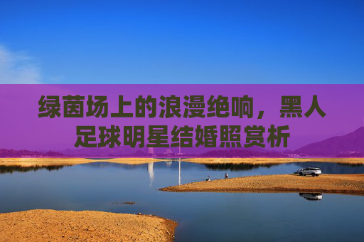 绿茵场上的浪漫绝响，黑人足球明星结婚照赏析