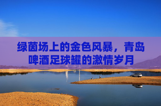 绿茵场上的金色风暴，青岛啤酒足球罐的激情岁月