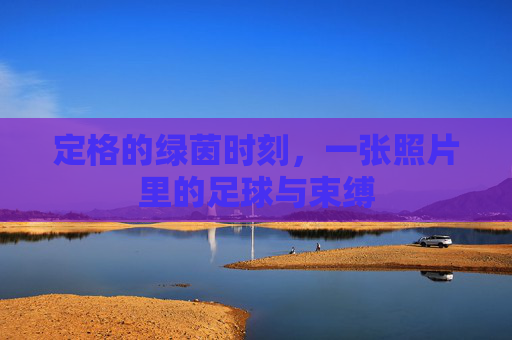 定格的绿茵时刻，一张照片里的足球与束缚