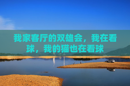 我家客厅的双雄会，我在看球，我的猫也在看球