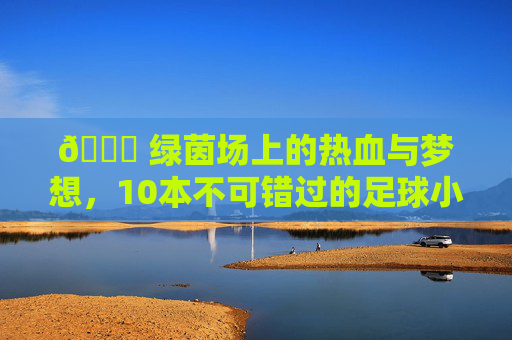🏆 绿茵场上的热血与梦想，10本不可错过的足球小说推荐