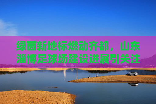 绿茵新地标燃动齐都，山东淄博足球场建设进展引关注