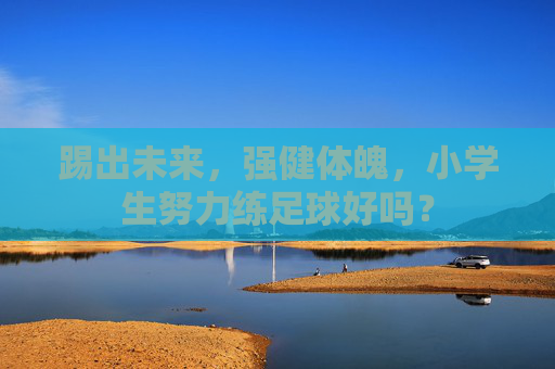 踢出未来，强健体魄，小学生努力练足球好吗？