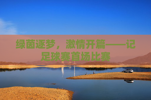 绿茵逐梦，激情开篇——记足球赛首场比赛