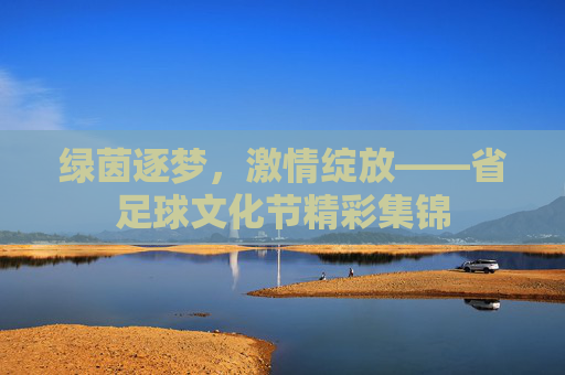 绿茵逐梦，激情绽放——省足球文化节精彩集锦