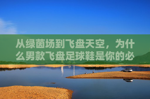 从绿茵场到飞盘天空，为什么男款飞盘足球鞋是你的必备装备？
