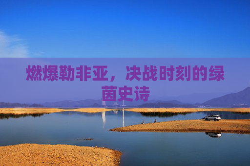燃爆勒非亚，决战时刻的绿茵史诗
