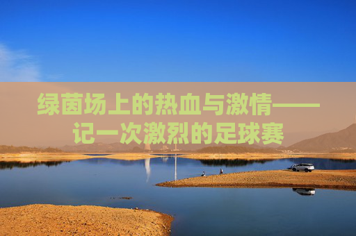 绿茵场上的热血与激情——记一次激烈的足球赛