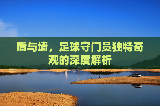 盾与墙，足球守门员独特奇观的深度解析