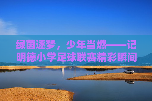 绿茵逐梦，少年当燃——记明德小学足球联赛精彩瞬间