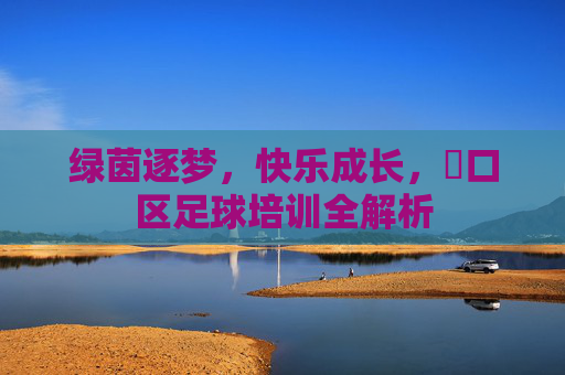 绿茵逐梦，快乐成长，硚口区足球培训全解析