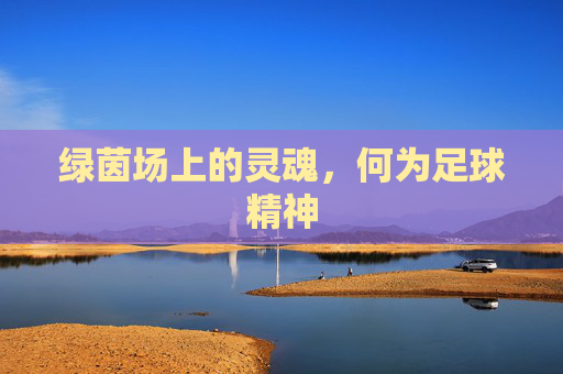 绿茵场上的灵魂，何为足球精神