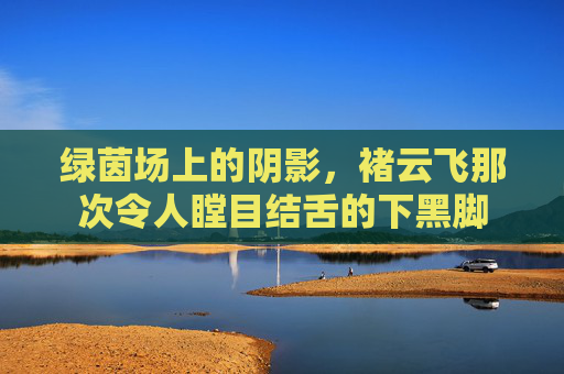 绿茵场上的阴影，褚云飞那次令人瞠目结舌的下黑脚