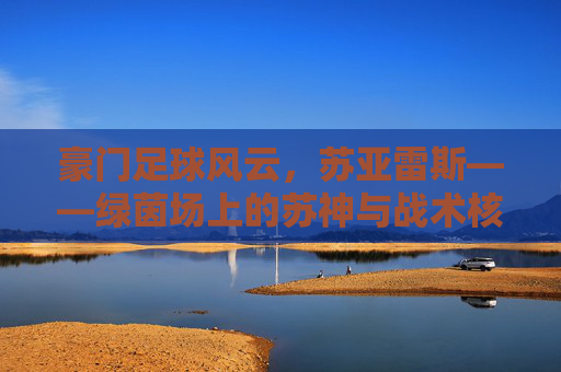 豪门足球风云，苏亚雷斯——绿茵场上的苏神与战术核心