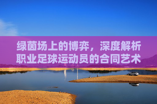 绿茵场上的博弈，深度解析职业足球运动员的合同艺术