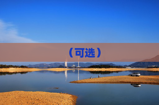 （可选）