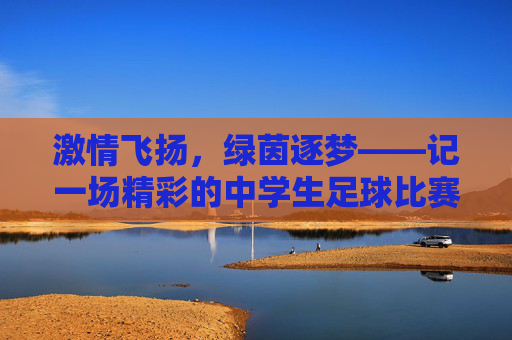 激情飞扬，绿茵逐梦——记一场精彩的中学生足球比赛活动