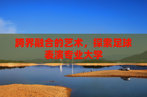 跨界融合的艺术，探索足球表演专业大学