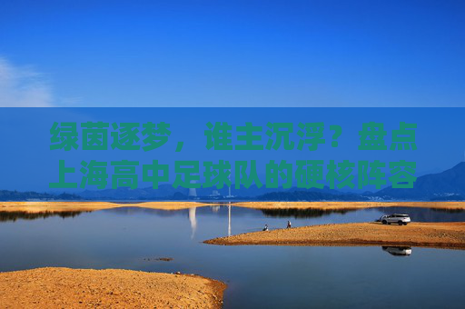 绿茵逐梦,谁主沉浮?盘点上海高中足球队的硬核阵容