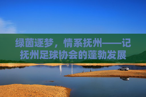 绿茵逐梦,情系抚州——记抚州足球协会的蓬勃发展