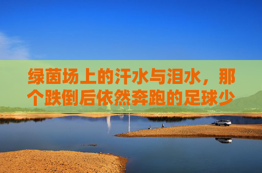 绿茵场上的汗水与泪水,那个跌倒后依然奔跑的足球少年