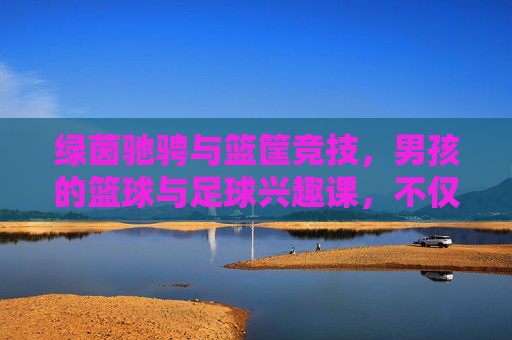 绿茵驰骋与篮筐竞技,男孩的篮球与足球兴趣课,不仅是强身健体,更是性格养成