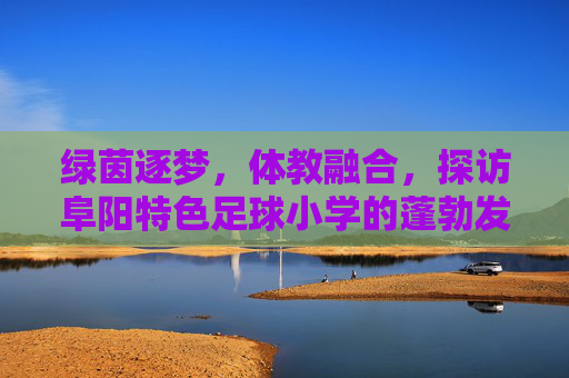绿茵逐梦,体教融合,探访阜阳特色足球小学的蓬勃发展