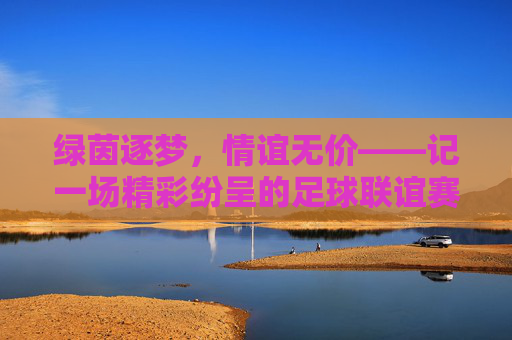 绿茵逐梦,情谊无价——记一场精彩纷呈的足球联谊赛