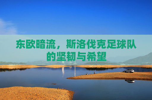 东欧暗流,斯洛伐克足球队的坚韧与希望