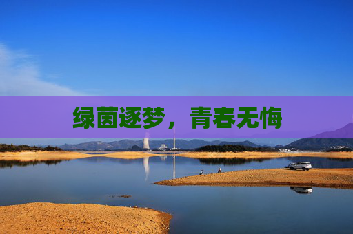 绿茵逐梦,青春无悔