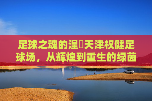 足球之魂的涅槃天津权健足球场,从辉煌到重生的绿茵传奇