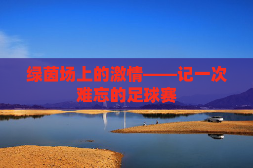 绿茵场上的激情——记一次难忘的足球赛