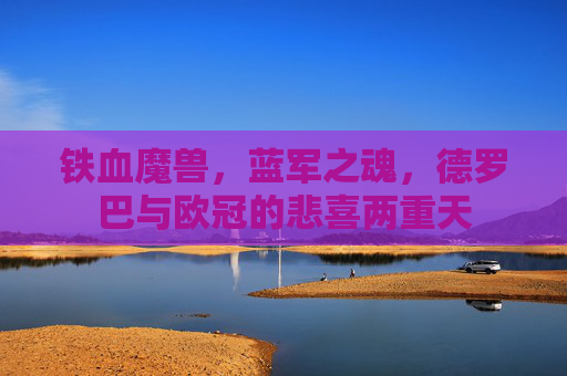 铁血魔兽,蓝军之魂,德罗巴与欧冠的悲喜两重天