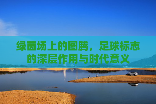 绿茵场上的图腾,足球标志的深层作用与时代意义