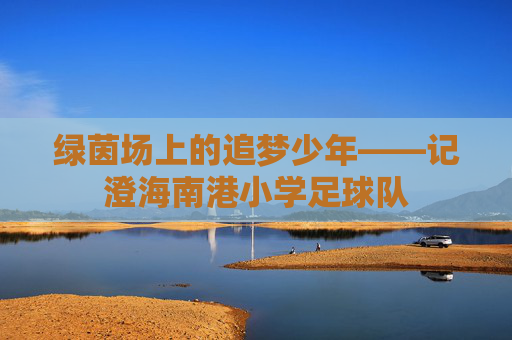 绿茵场上的追梦少年——记澄海南港小学足球队