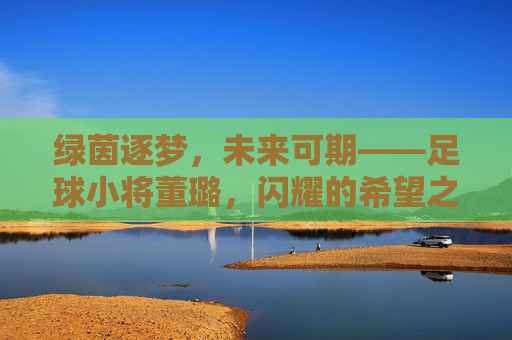 绿茵逐梦,未来可期——足球小将董璐,闪耀的希望之星