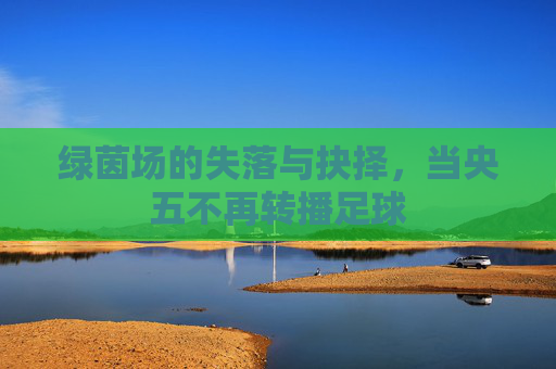 绿茵场的失落与抉择,当央五不再转播足球