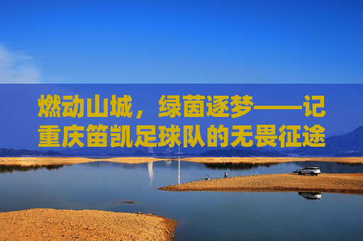 燃动山城，绿茵逐梦——记重庆笛凯足球队的无畏征途