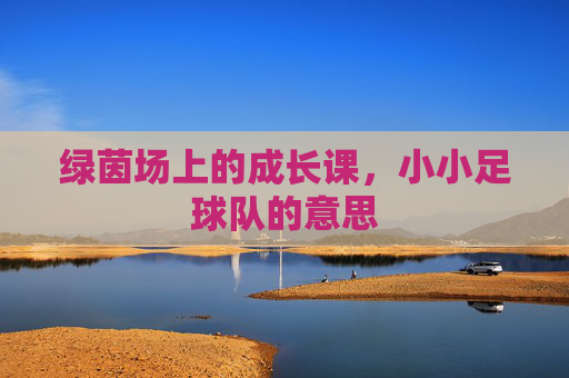 绿茵场上的成长课,小小足球队的意思