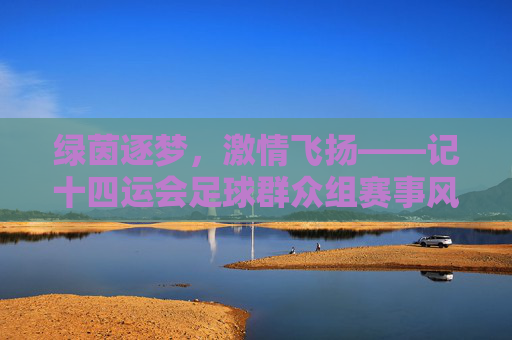 绿茵逐梦,激情飞扬——记十四运会足球群众组赛事风采
